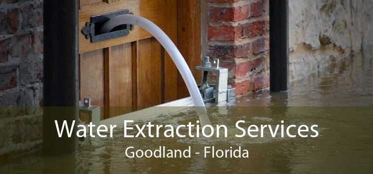 Water Extraction Services Goodland - Florida