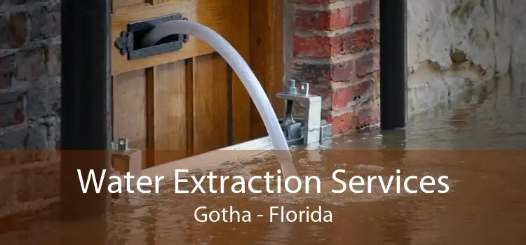 Water Extraction Services Gotha - Florida