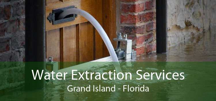 Water Extraction Services Grand Island - Florida