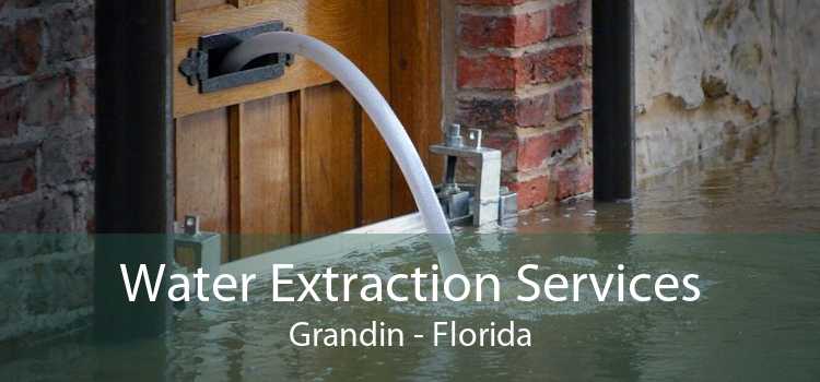 Water Extraction Services Grandin - Florida