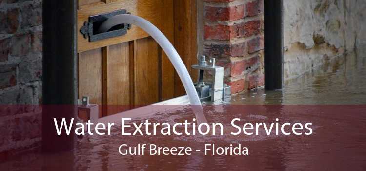 Water Extraction Services Gulf Breeze - Florida
