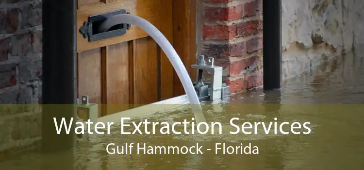 Water Extraction Services Gulf Hammock - Florida