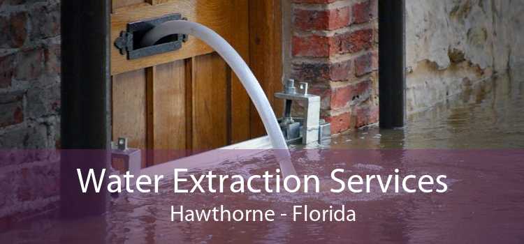 Water Extraction Services Hawthorne - Florida