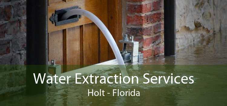 Water Extraction Services Holt - Florida