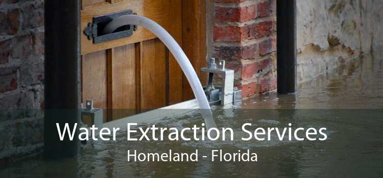 Water Extraction Services Homeland - Florida