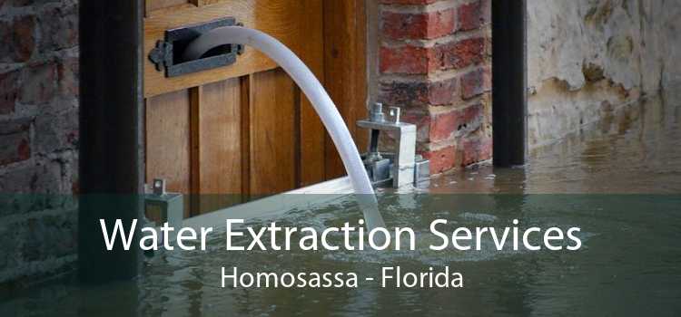 Water Extraction Services Homosassa - Florida