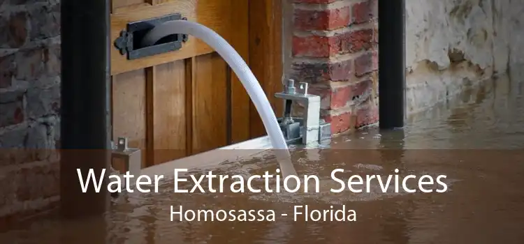 Water Extraction Services Homosassa - Florida