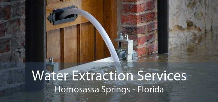 Water Extraction Services Homosassa Springs - Florida