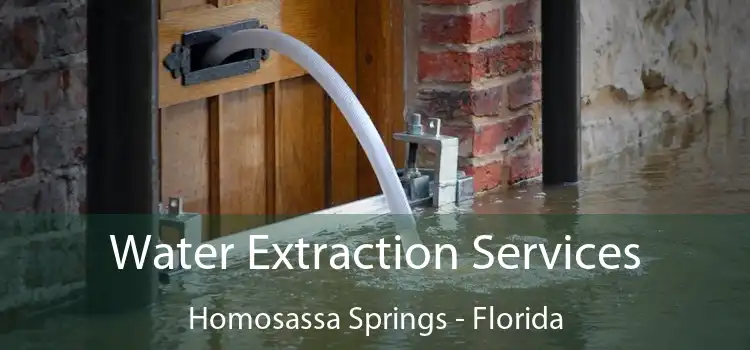 Water Extraction Services Homosassa Springs - Florida