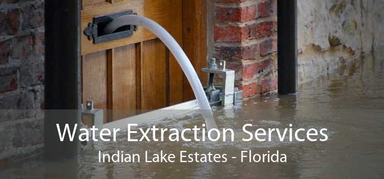 Water Extraction Services Indian Lake Estates - Florida
