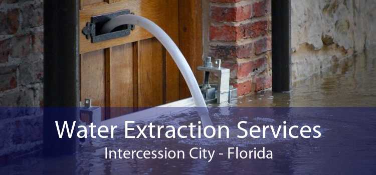 Water Extraction Services Intercession City - Florida