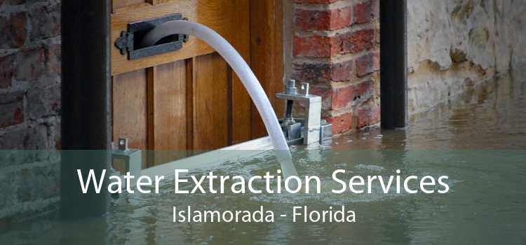 Water Extraction Services Islamorada - Florida