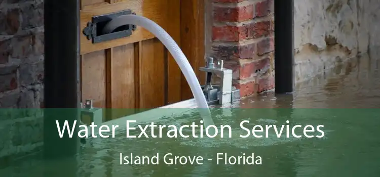 Water Extraction Services Island Grove - Florida