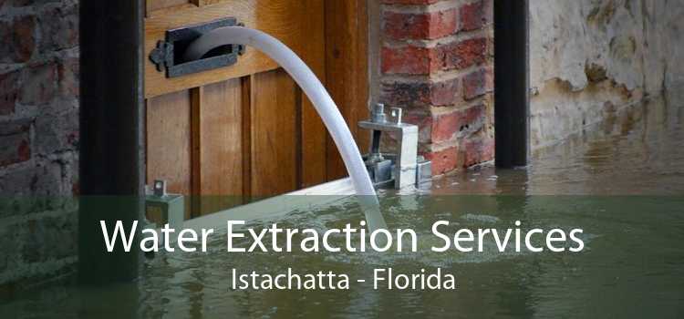 Water Extraction Services Istachatta - Florida