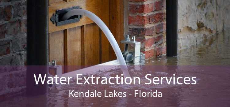 Water Extraction Services Kendale Lakes - Florida
