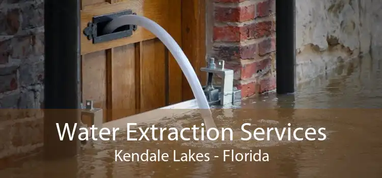 Water Extraction Services Kendale Lakes - Florida