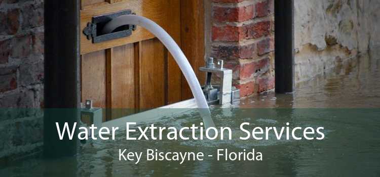 Water Extraction Services Key Biscayne - Florida