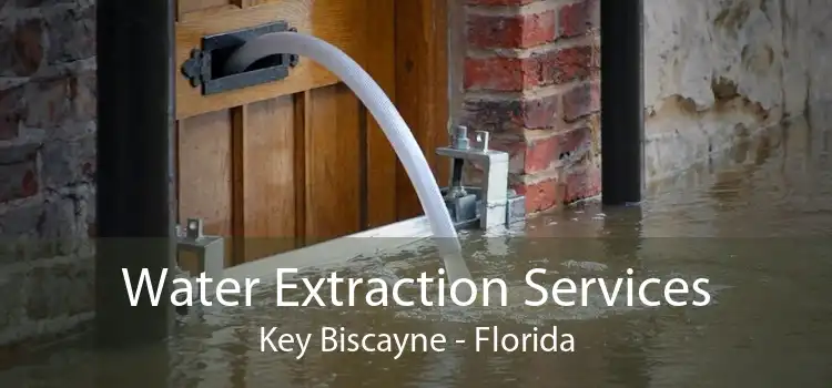 Water Extraction Services Key Biscayne - Florida