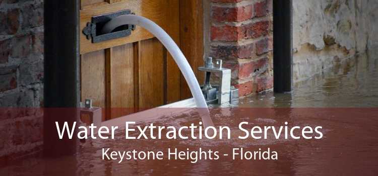 Water Extraction Services Keystone Heights - Florida
