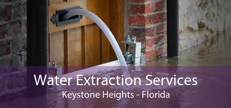 Water Extraction Services Keystone Heights - Florida