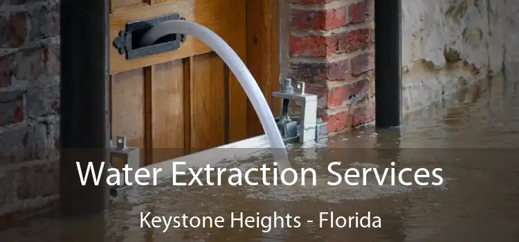 Water Extraction Services Keystone Heights - Florida