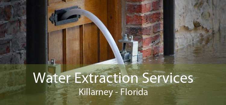 Water Extraction Services Killarney - Florida