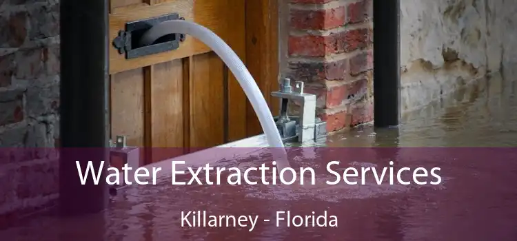 Water Extraction Services Killarney - Florida