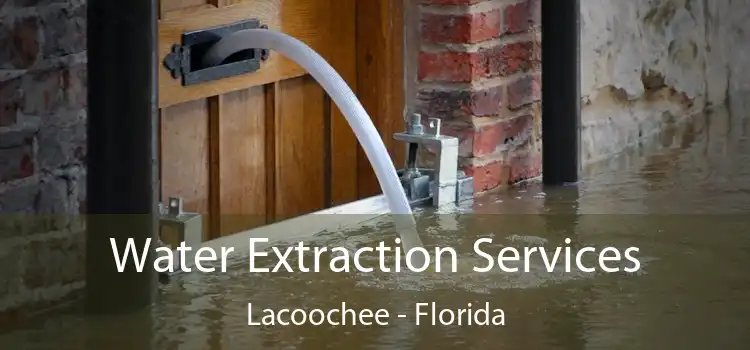 Water Extraction Services Lacoochee - Florida