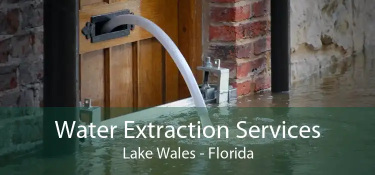 Water Extraction Services Lake Wales - Florida