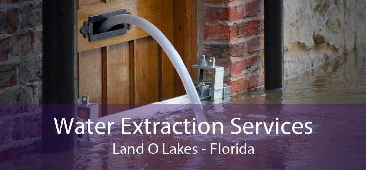 Water Extraction Services Land O Lakes - Florida