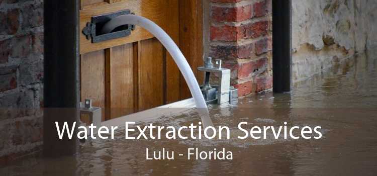 Water Extraction Services Lulu - Florida