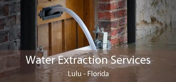 Water Extraction Services Lulu - Florida