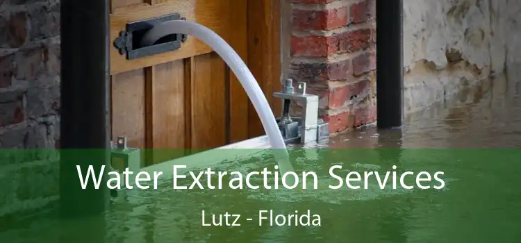 Water Extraction Services Lutz - Florida