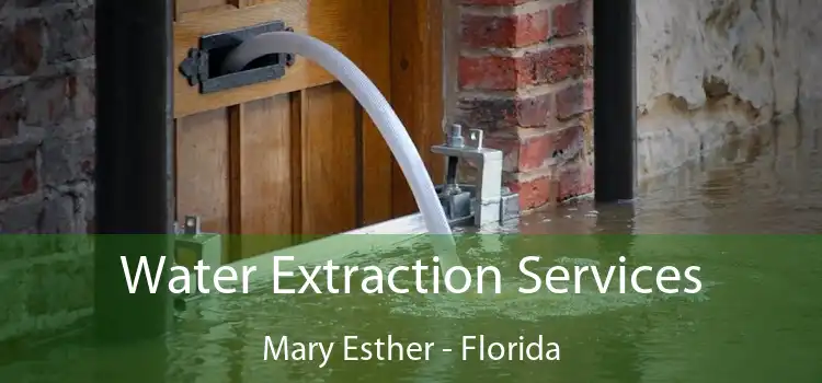 Water Extraction Services Mary Esther - Florida