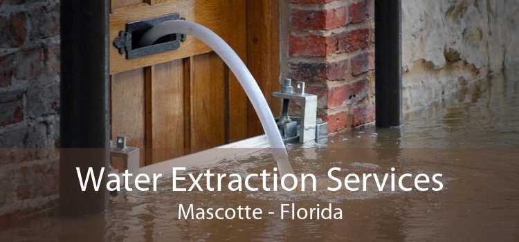 Water Extraction Services Mascotte - Florida