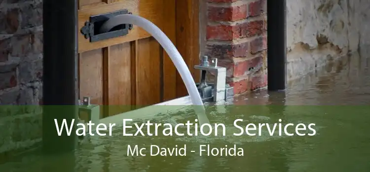 Water Extraction Services Mc David - Florida