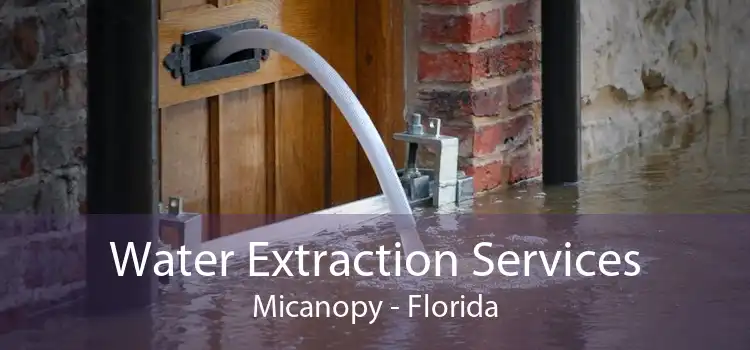 Water Extraction Services Micanopy - Florida
