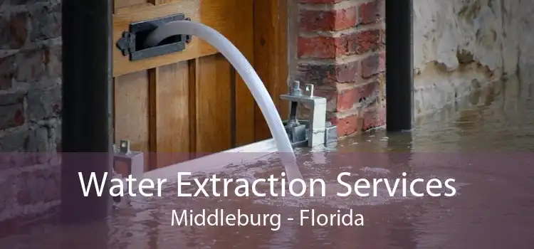 Water Extraction Services Middleburg - Florida