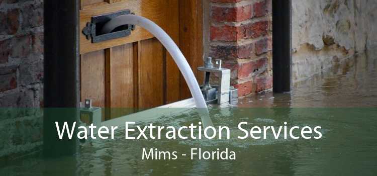 Water Extraction Services Mims - Florida