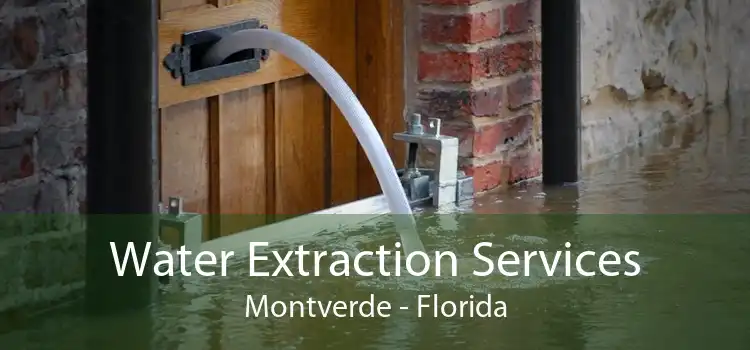 Water Extraction Services Montverde - Florida