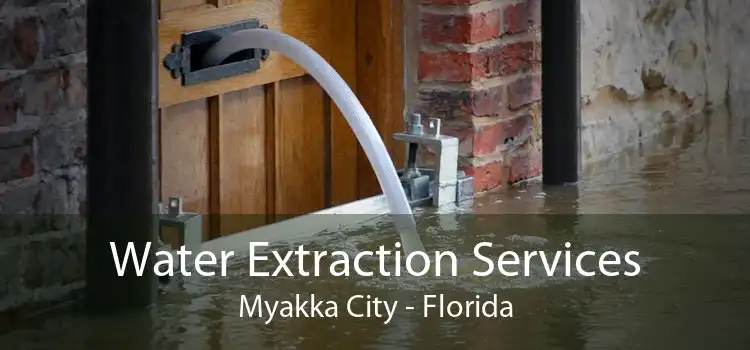 Water Extraction Services Myakka City - Florida