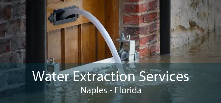 Water Extraction Services Naples - Florida