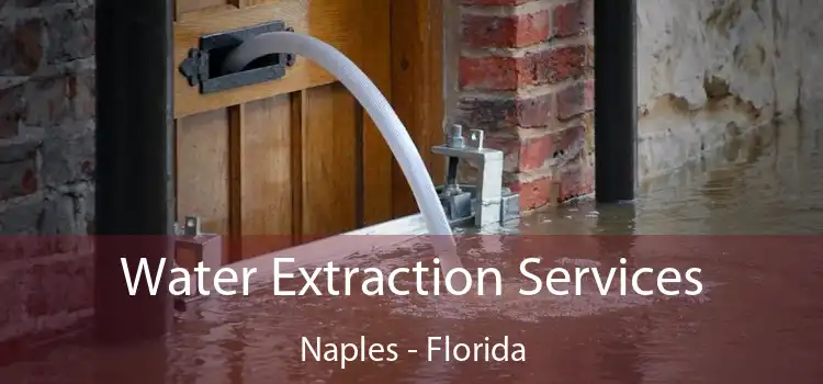 Water Extraction Services Naples - Florida