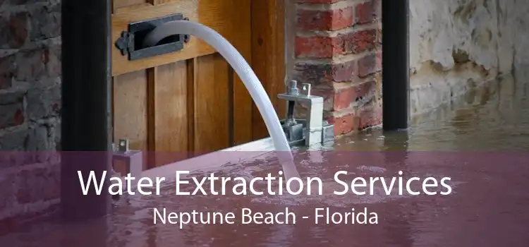 Water Extraction Services Neptune Beach - Florida