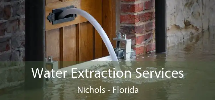 Water Extraction Services Nichols - Florida