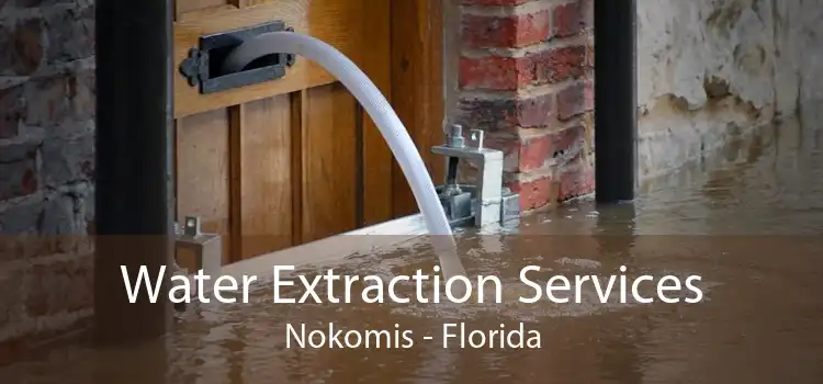Water Extraction Services Nokomis - Florida