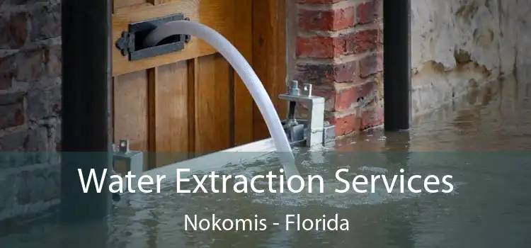 Water Extraction Services Nokomis - Florida