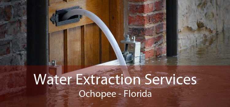 Water Extraction Services Ochopee - Florida