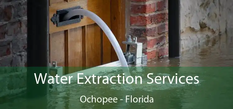 Water Extraction Services Ochopee - Florida