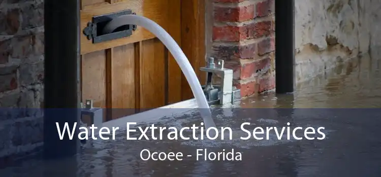 Water Extraction Services Ocoee - Florida